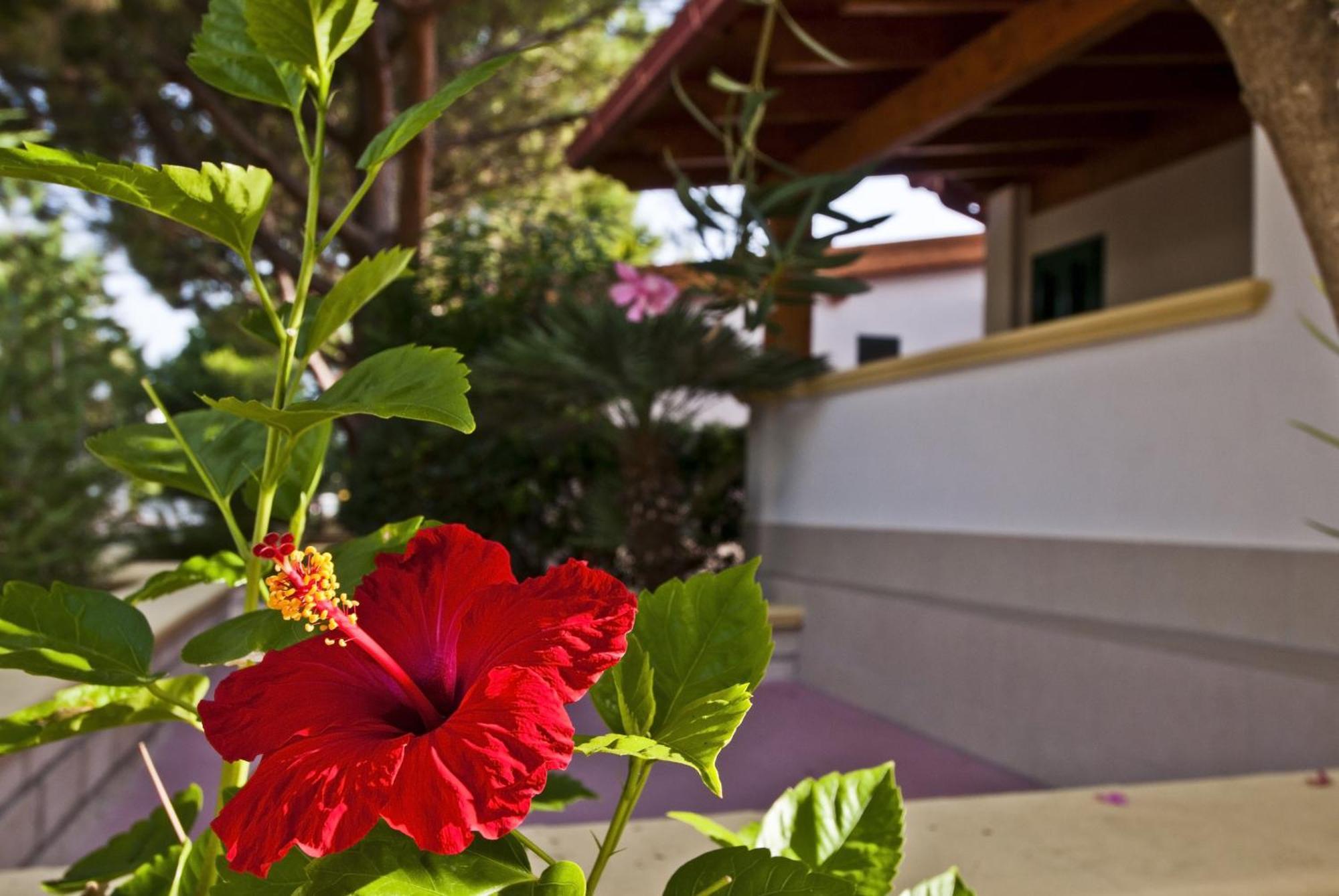 Green Park Village Vieste Dış mekan fotoğraf